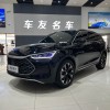 Tang New Energy 2024 DM-i Honor Edition 112KM Flagship Model Tang New Energy 2024 DM-i Honor Edition 112KM Flagship Model