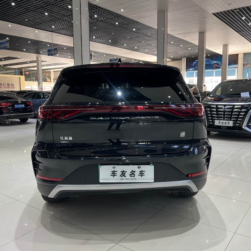 Tang New Energy 2024 DM-i Honor Edition 112KM Flagship Model Tang New Energy 2024 DM-i Honor Edition 112KM Flagship Model