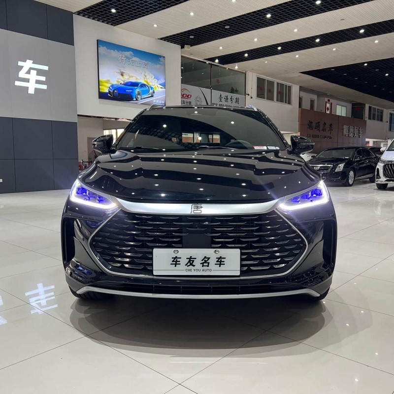 Tang New Energy 2024 DM-i Honor Edition 112KM Flagship Model Tang New Energy 2024 DM-i Honor Edition 112KM Flagship Model