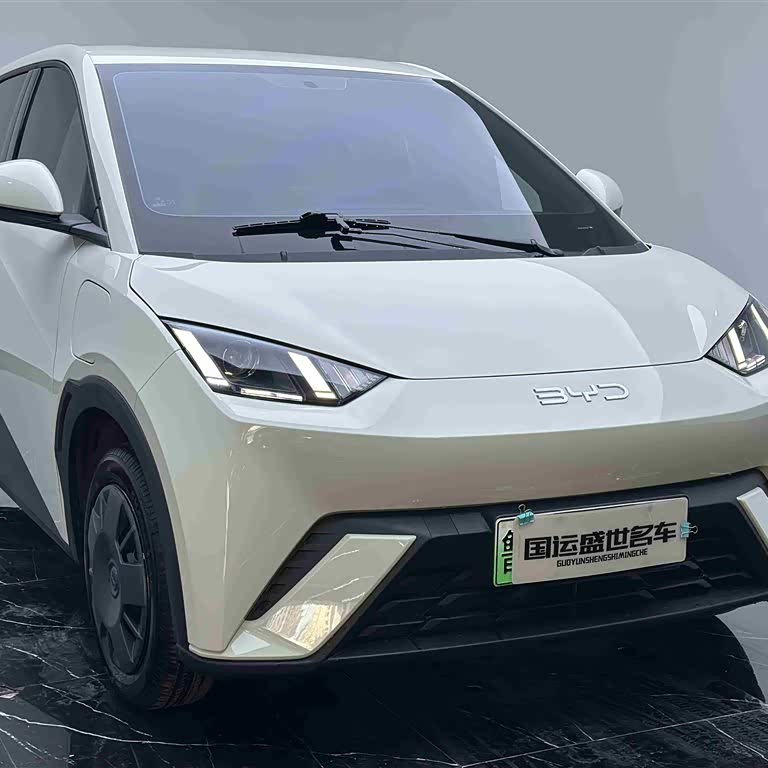 Seagull 2024 Glory Edition 305km Vitality Edition Seagull 2024 Glory Edition 305km Vitality Edition