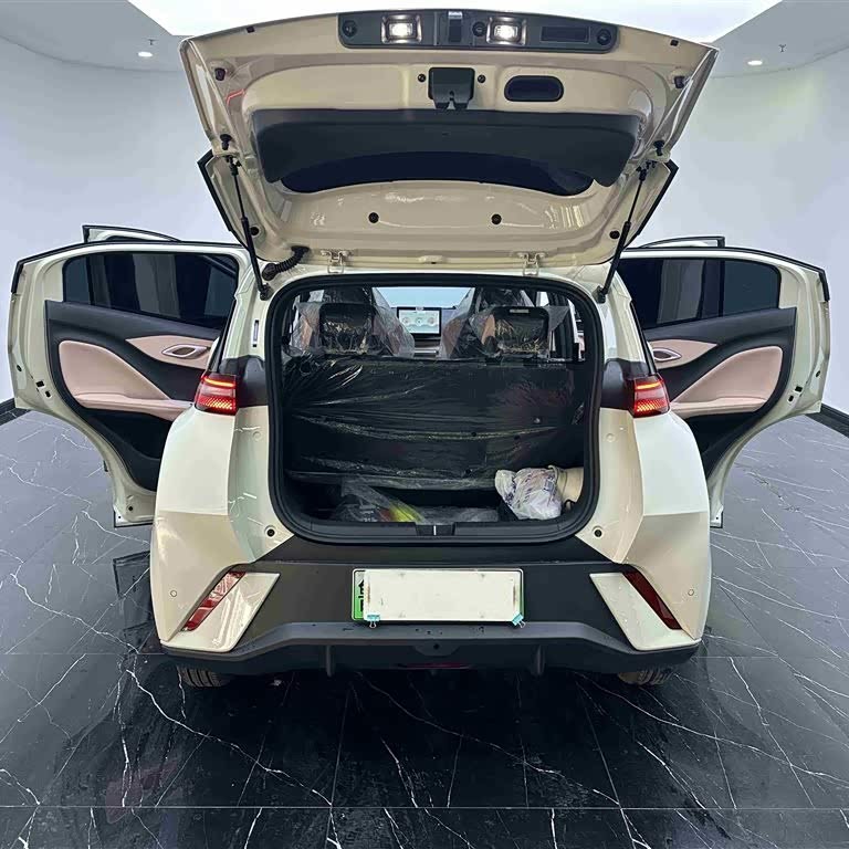 Seagull 2024 Glory Edition 305km Vitality Edition Seagull 2024 Glory Edition 305km Vitality Edition