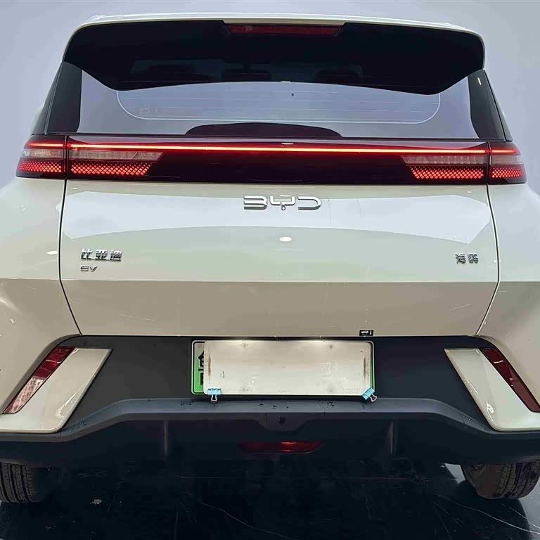 Seagull 2024 Glory Edition 305km Vitality Edition Seagull 2024 Glory Edition 305km Vitality Edition