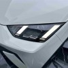 Seagull 2024 Glory Edition 305km Vitality Edition Seagull 2024 Glory Edition 305km Vitality Edition