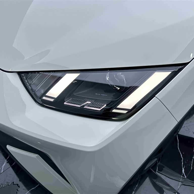 Seagull 2024 Glory Edition 305km Vitality Edition Seagull 2024 Glory Edition 305km Vitality Edition