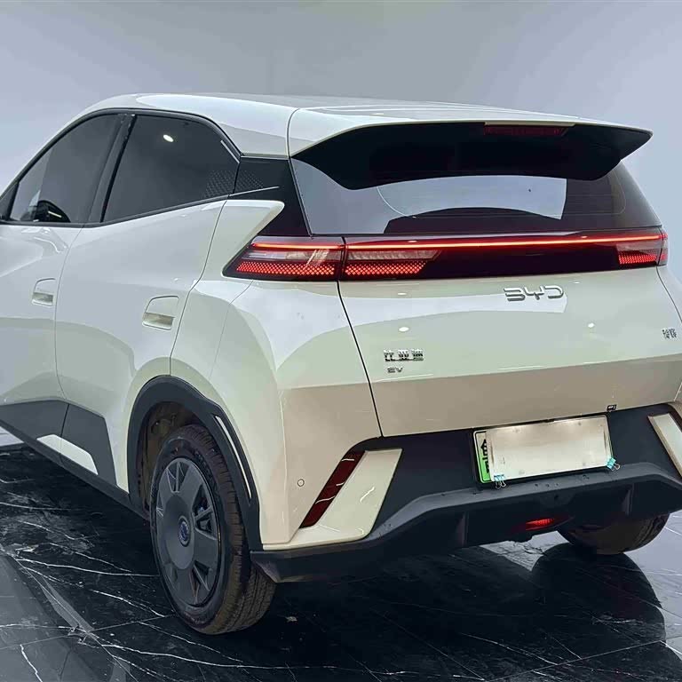 Seagull 2024 Glory Edition 305km Vitality Edition Seagull 2024 Glory Edition 305km Vitality Edition