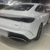 Haibao 06 New Energy 2024 DM-i 120KM Flagship Model