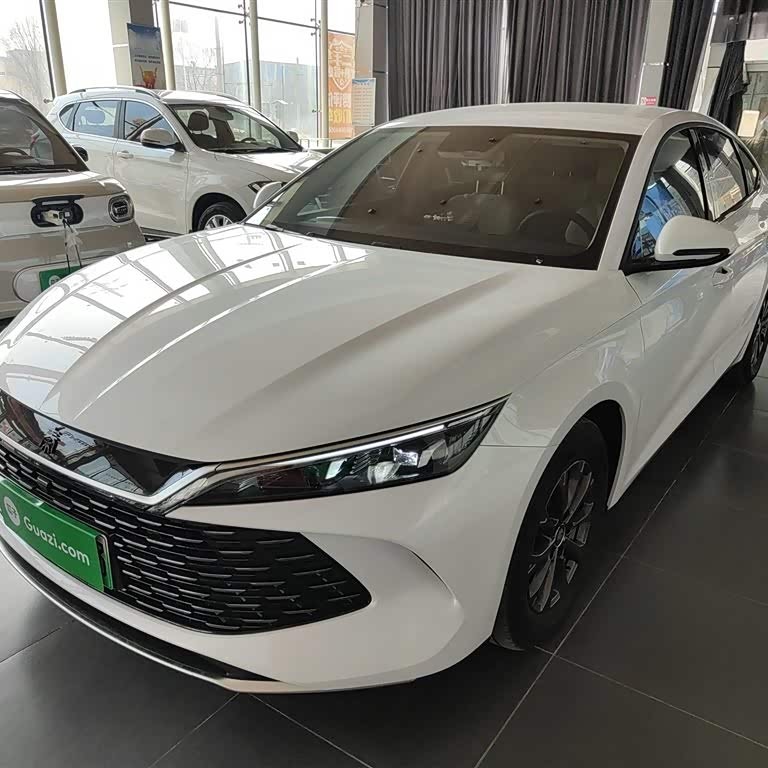 Qin L 2024 DM-i 80KM Leading Edition