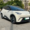 Seagull 2024 Glory Edition 405km Flying Edition