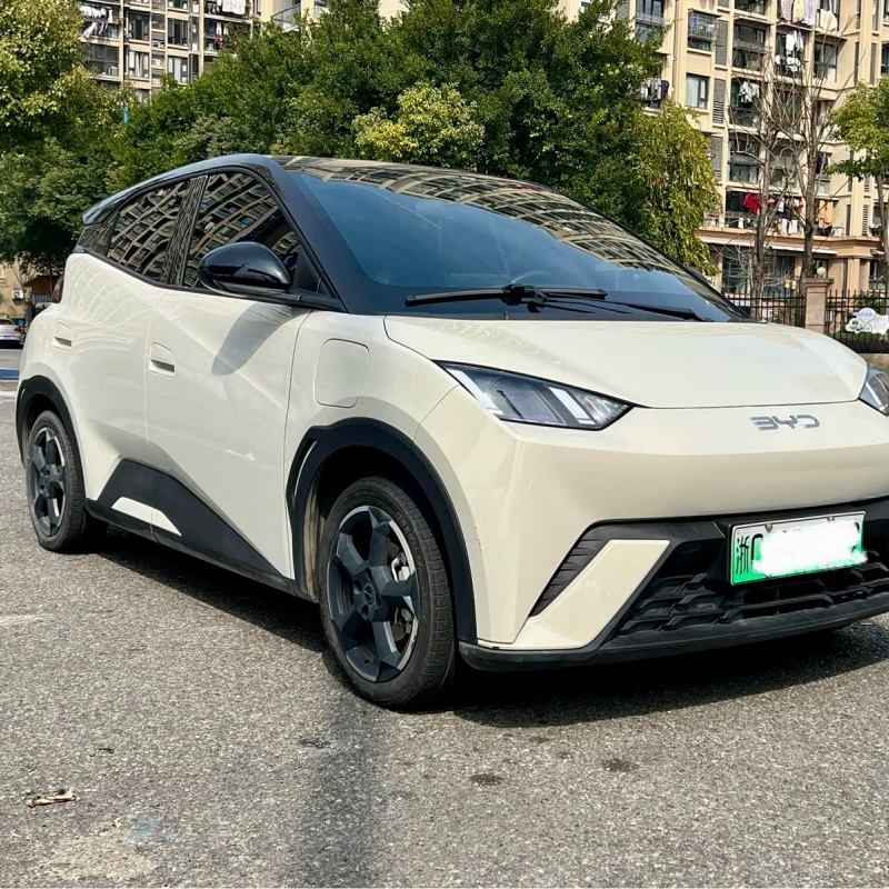 Seagull 2024 Glory Edition 405km Flying Edition Seagull 2024 Glory Edition 405km Flying Edition