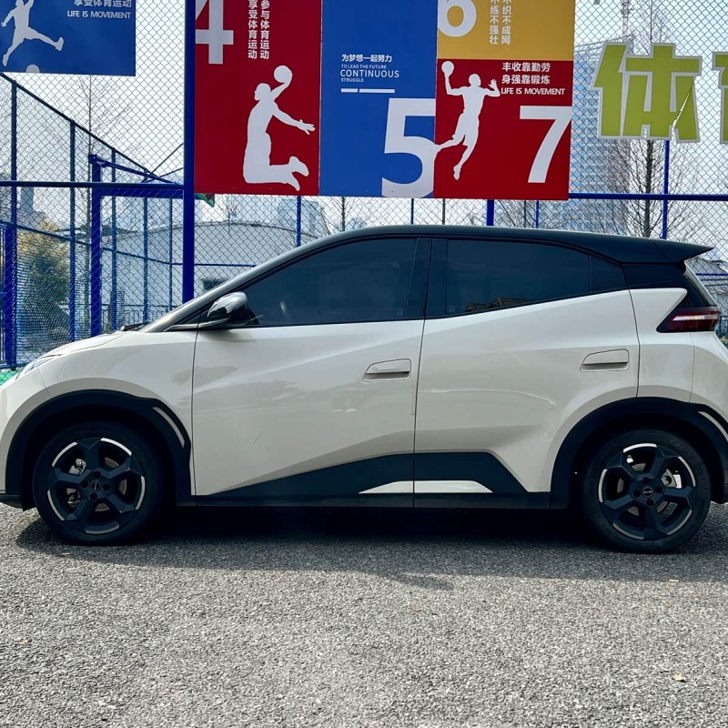 Seagull 2024 Glory Edition 405km Flying Edition Seagull 2024 Glory Edition 405km Flying Edition