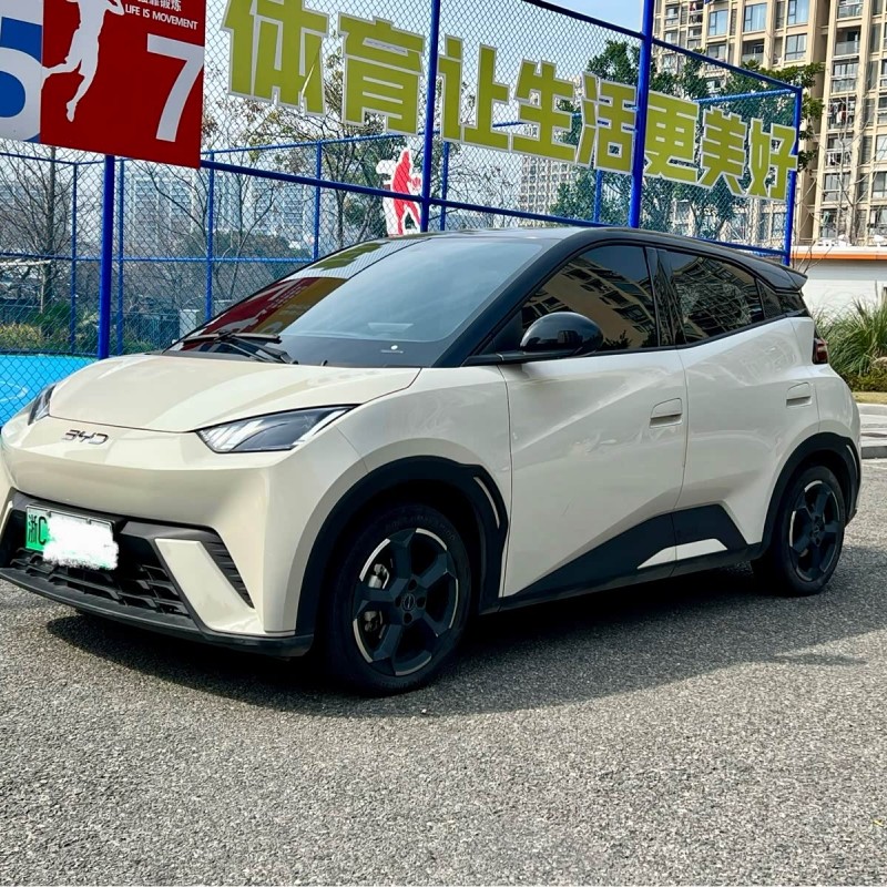 Seagull 2024 Glory Edition 405km Flying Edition Seagull 2024 Glory Edition 405km Flying Edition