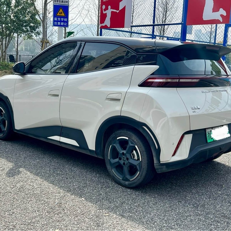 Seagull 2024 Glory Edition 405km Flying Edition Seagull 2024 Glory Edition 405km Flying Edition