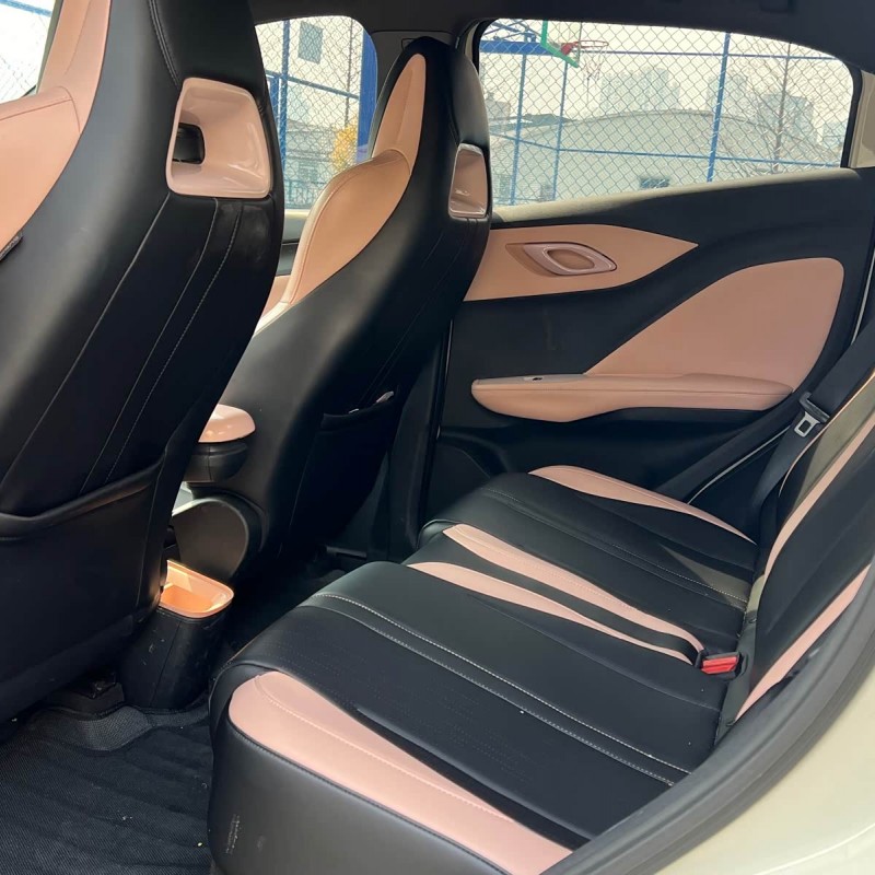 Seagull 2024 Glory Edition 405km Flying Edition Seagull 2024 Glory Edition 405km Flying Edition