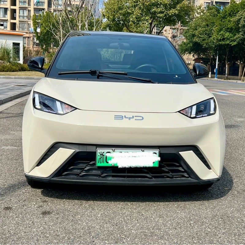 Seagull 2024 Glory Edition 405km Flying Edition