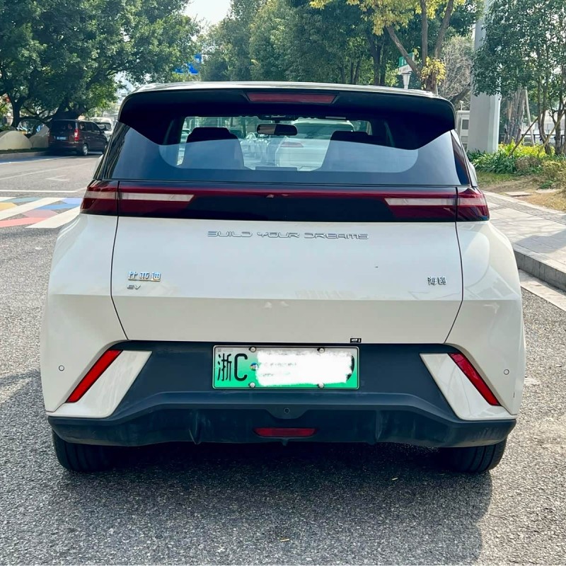 Seagull 2024 Glory Edition 405km Flying Edition Seagull 2024 Glory Edition 405km Flying Edition