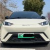 Seagull 2024 Glory Edition 405km Flying Edition