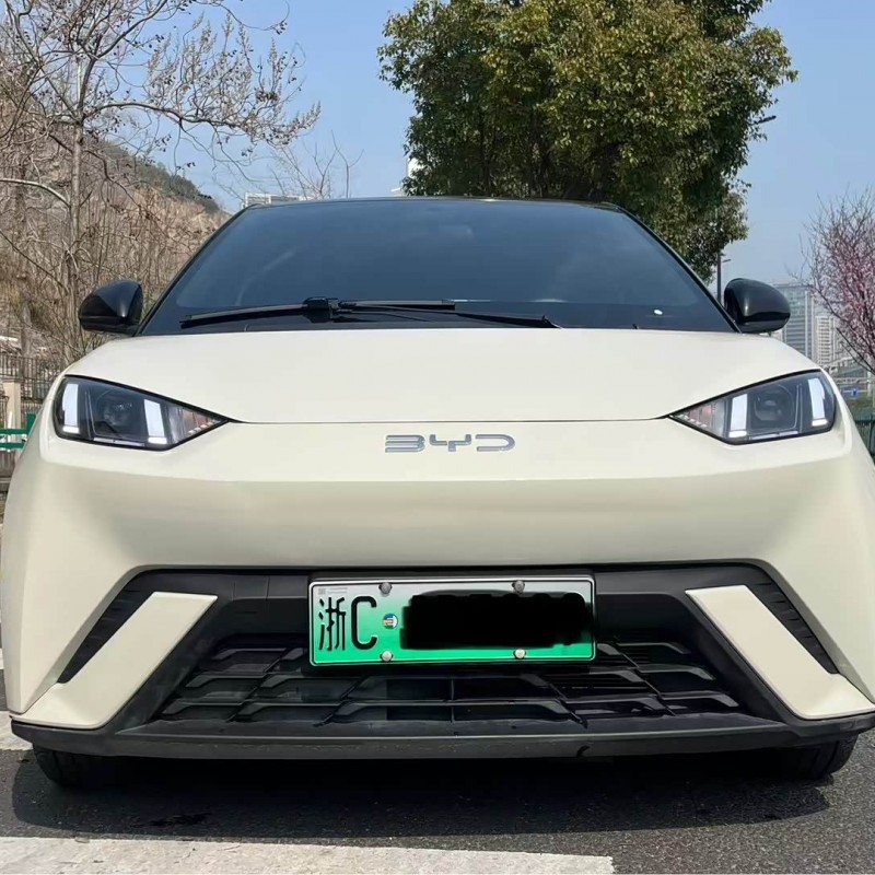 Seagull 2024 Glory Edition 405km Flying Edition