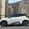 Seagull 2024 Glory Edition 405km Flying Edition