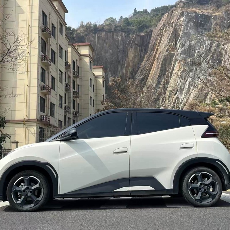Seagull 2024 Glory Edition 405km Flying Edition Seagull 2024 Glory Edition 405km Flying Edition