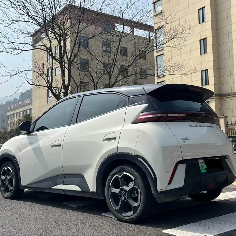 Seagull 2024 Glory Edition 405km Flying Edition Seagull 2024 Glory Edition 405km Flying Edition