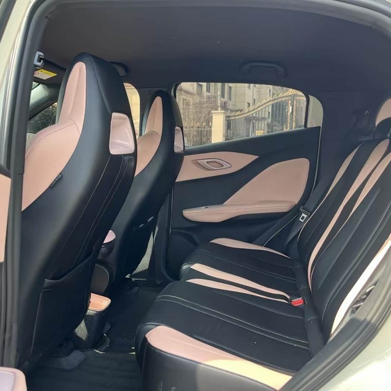Seagull 2024 Glory Edition 405km Flying Edition Seagull 2024 Glory Edition 405km Flying Edition