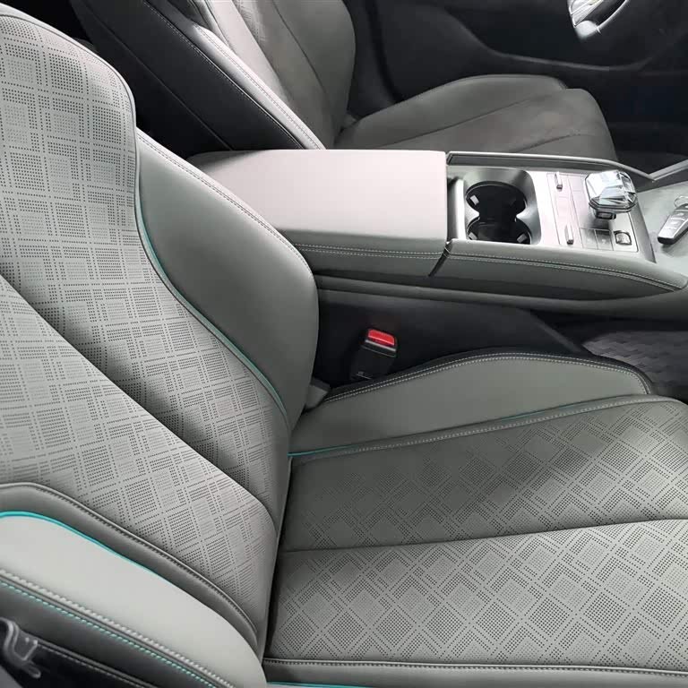 Qin L 2024 DM-i 120KM Excellence Edition Qin L 2024 DM-i 120KM Excellence Edition
