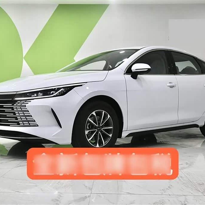 Destroyer 05 2024 Glory Edition DM-i 55KM Luxury Model Destroyer 05 2024 Glory Edition DM-i 55KM Luxury Model