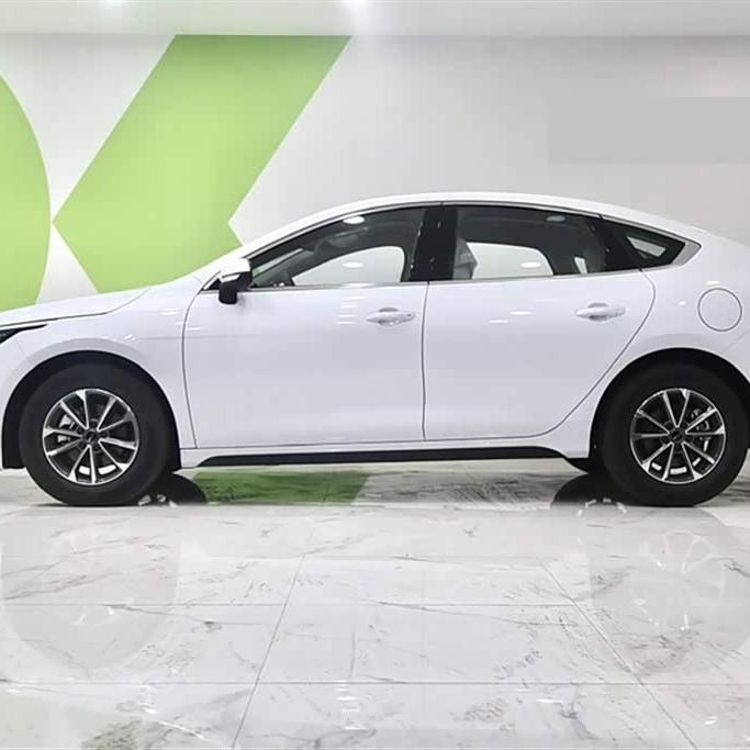 Destroyer 05 2024 Glory Edition DM-i 55KM Luxury Model Destroyer 05 2024 Glory Edition DM-i 55KM Luxury Model