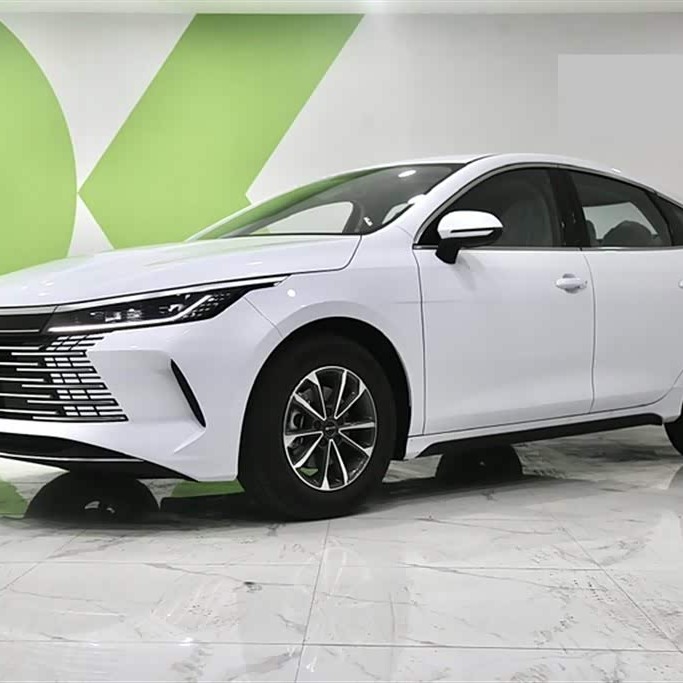 Destroyer 05 2024 Glory Edition DM-i 55KM Luxury Model Destroyer 05 2024 Glory Edition DM-i 55KM Luxury Model