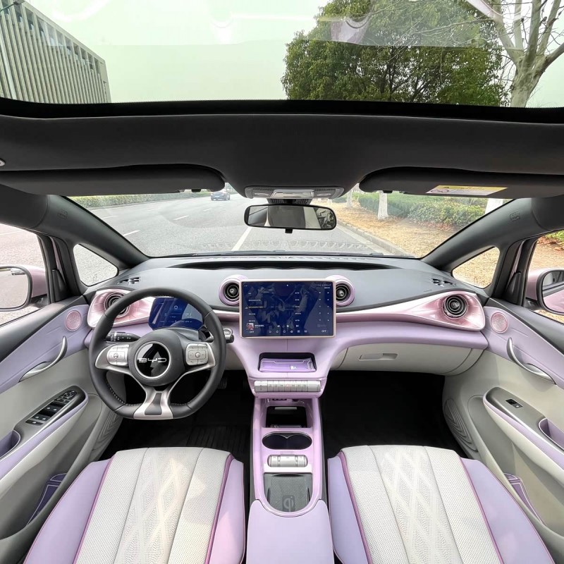Dolphin 2023 420km Fashion Edition Dolphin 2023 420km Fashion Edition