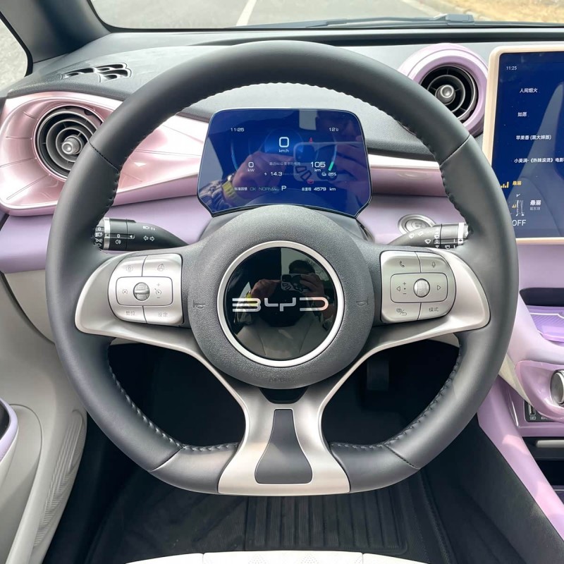 Dolphin 2023 420km Fashion Edition Dolphin 2023 420km Fashion Edition