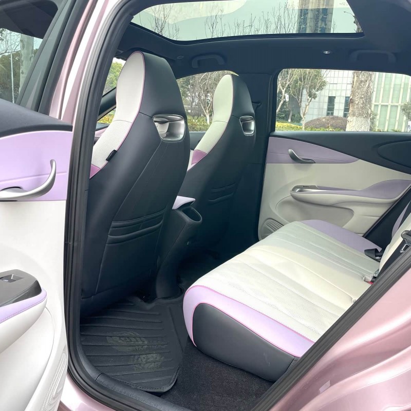 Dolphin 2023 420km Fashion Edition Dolphin 2023 420km Fashion Edition