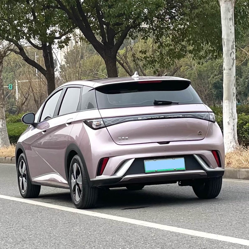 Dolphin 2023 420km Fashion Edition Dolphin 2023 420km Fashion Edition