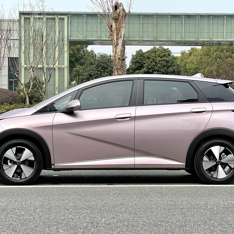 Dolphin 2023 420km Fashion Edition Dolphin 2023 420km Fashion Edition