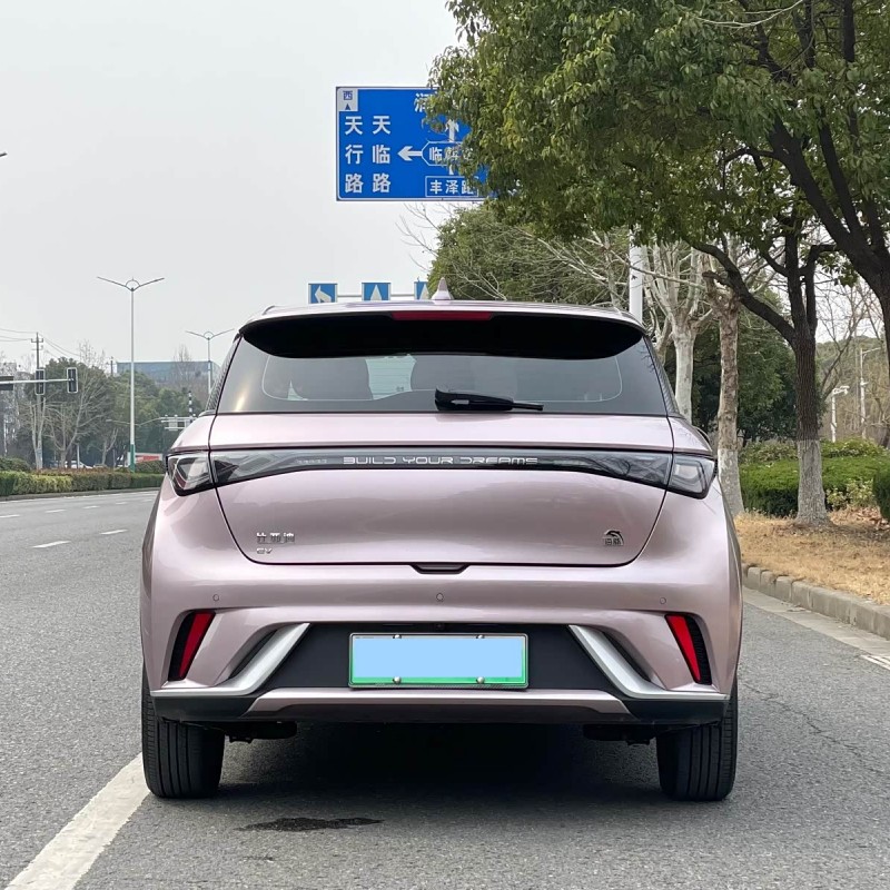 Dolphin 2023 420km Fashion Edition Dolphin 2023 420km Fashion Edition