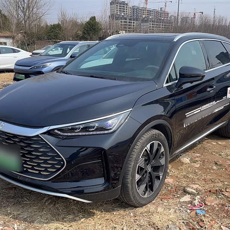 Tang New Energy 2024 DM-i Honor Edition 112KM Flagship Model Tang New Energy 2024 DM-i Honor Edition 112KM Flagship Model