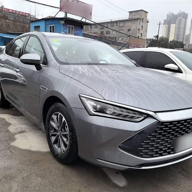 Qin PLUS 2024 Honor Edition DM-i 55KM Leading Edition Qin PLUS 2024 Honor Edition DM-i 55KM Leading Edition
