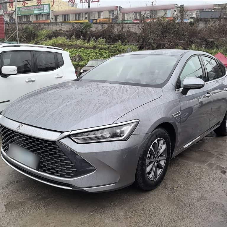 Qin PLUS 2024 Honor Edition DM-i 55KM Leading Edition