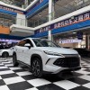 Song L DM-i 2024 160km Excellence Edition Song L DM-i 2024 160km Excellence Edition