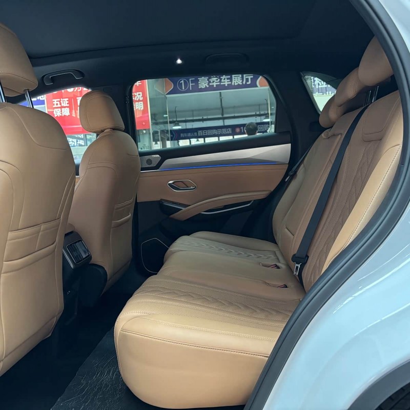 Song L DM-i 2024 160km Excellence Edition Song L DM-i 2024 160km Excellence Edition