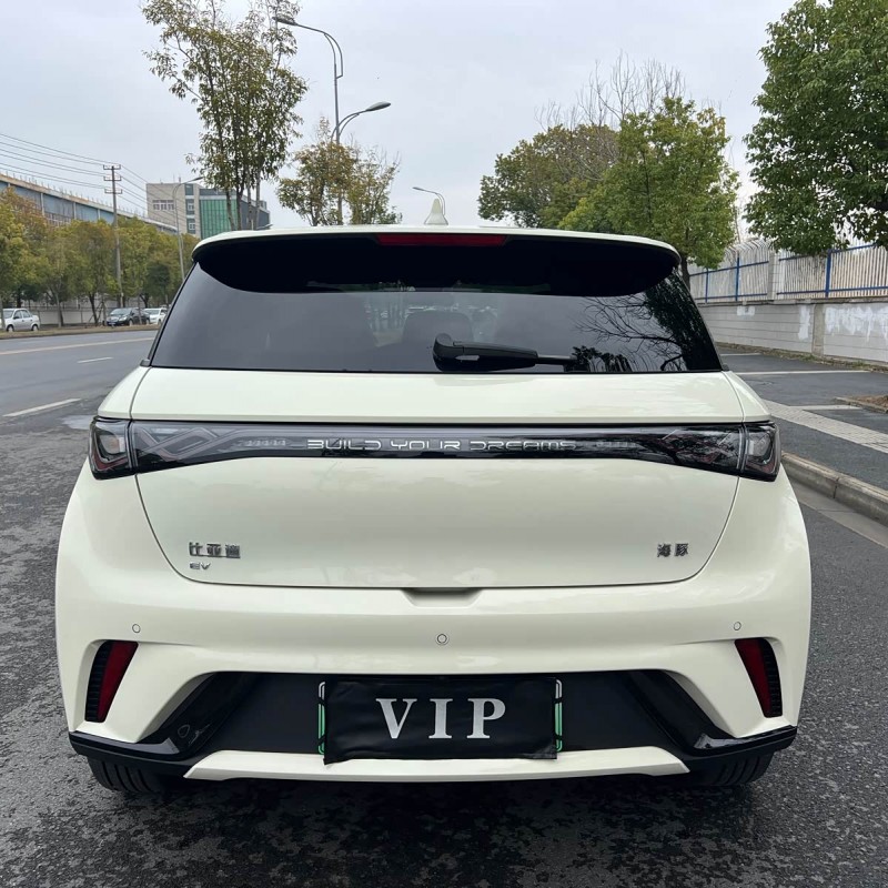 Dolphin 2024 Glory Edition 420km Fashion Edition Dolphin 2024 Glory Edition 420km Fashion Edition