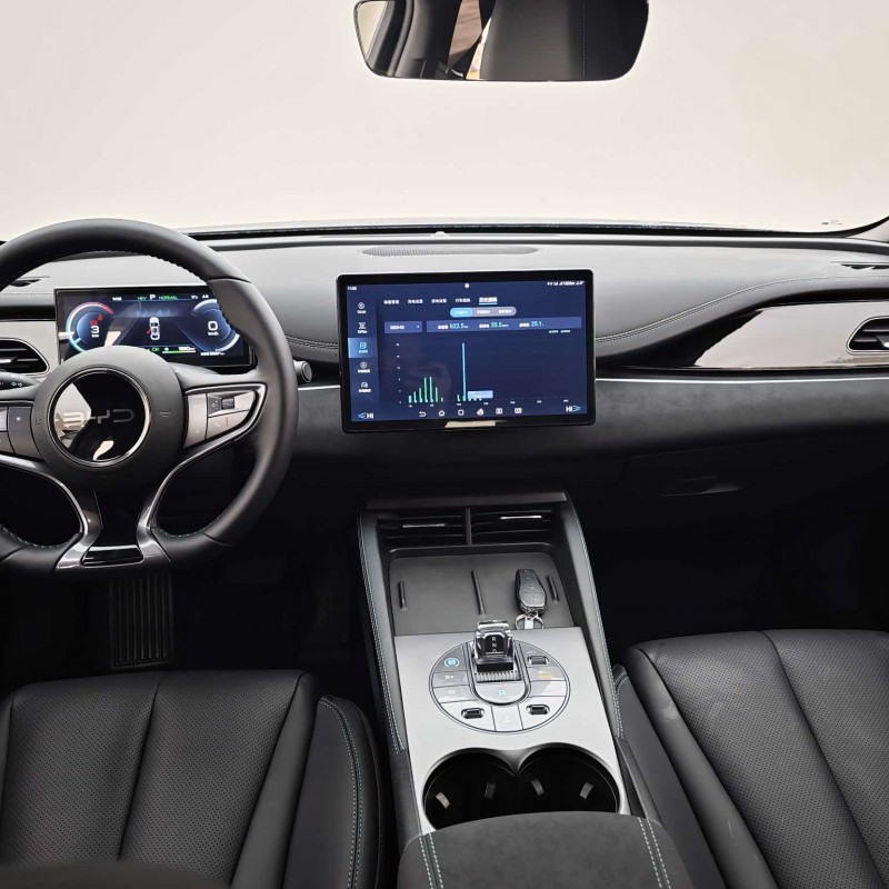 Haibao 06 New Energy 2024 DM-i 80KM Premium Edition Haibao 06 New Energy 2024 DM-i 80KM Premium Edition
