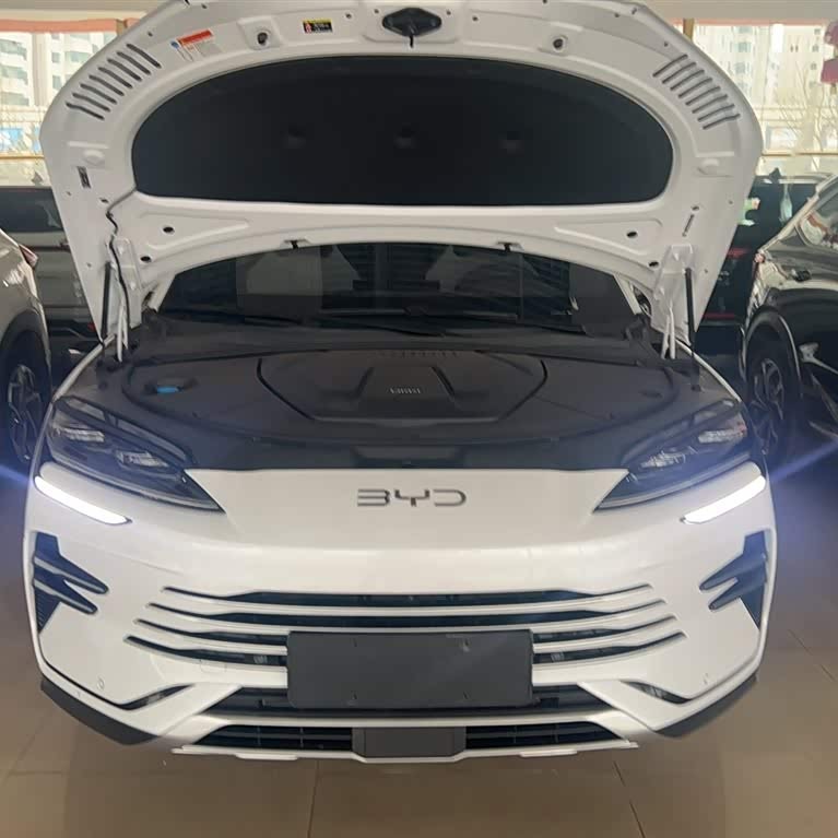 Song PLUS New Energy 2025 DM-i 112KM Premium Edition Song PLUS New Energy 2025 DM-i 112KM Premium Edition