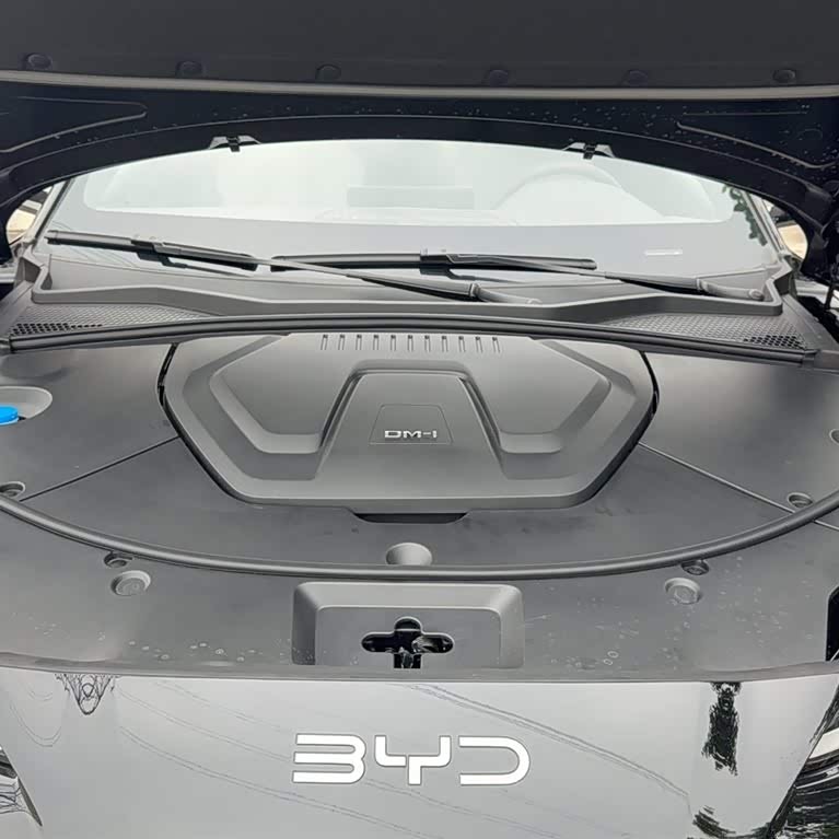 Song PLUS New Energy 2025 DM-i 112KM Premium Edition Song PLUS New Energy 2025 DM-i 112KM Premium Edition