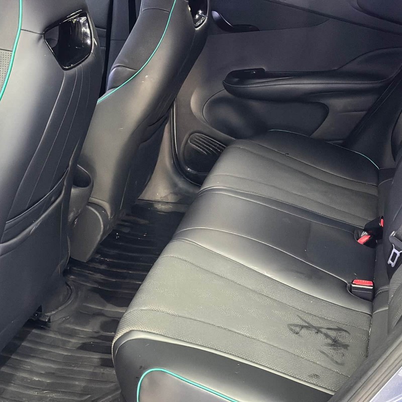 Dolphin 2024 Glory Edition 420km Fashion Edition Dolphin 2024 Glory Edition 420km Fashion Edition