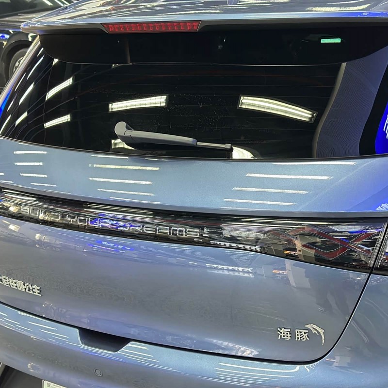 Dolphin 2024 Glory Edition 420km Fashion Edition Dolphin 2024 Glory Edition 420km Fashion Edition