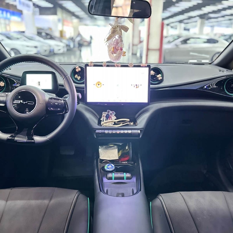 Dolphin 2024 Glory Edition 420km Fashion Edition Dolphin 2024 Glory Edition 420km Fashion Edition
