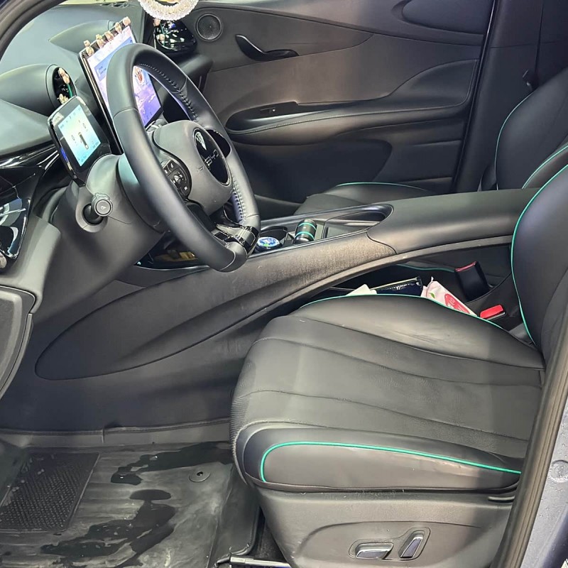 Dolphin 2024 Glory Edition 420km Fashion Edition Dolphin 2024 Glory Edition 420km Fashion Edition