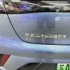 Dolphin 2024 Glory Edition 420km Fashion Edition