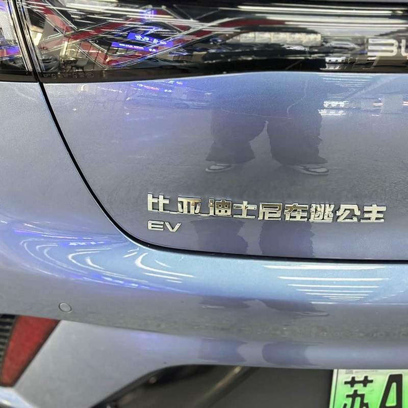 Dolphin 2024 Glory Edition 420km Fashion Edition Dolphin 2024 Glory Edition 420km Fashion Edition